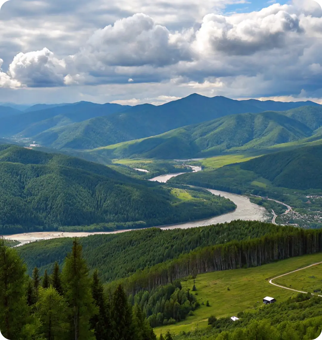 Лесной пейзаж